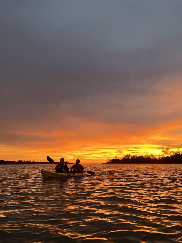 Tuaran Mangrove & River Kayaking (Sunrise or Sunset)