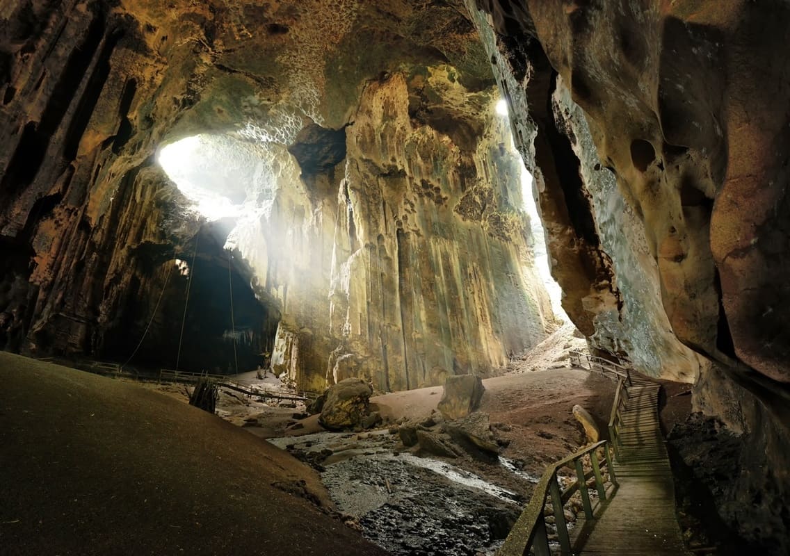 Sandakan - Gomantong Cave & Kinabatangan River Cruise Tour