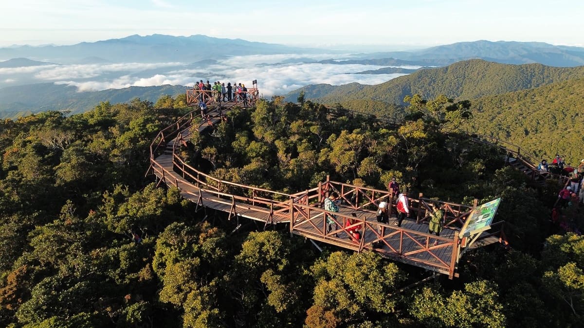 Maragang Hill - Crocker Range Trek Day Tour