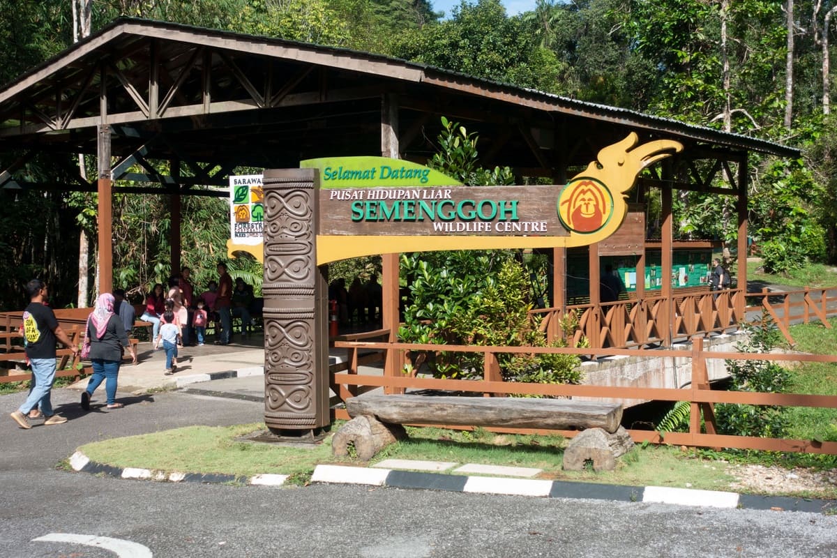 Kuching Day Tour &ndash; Semenggoh Orangutan Centre