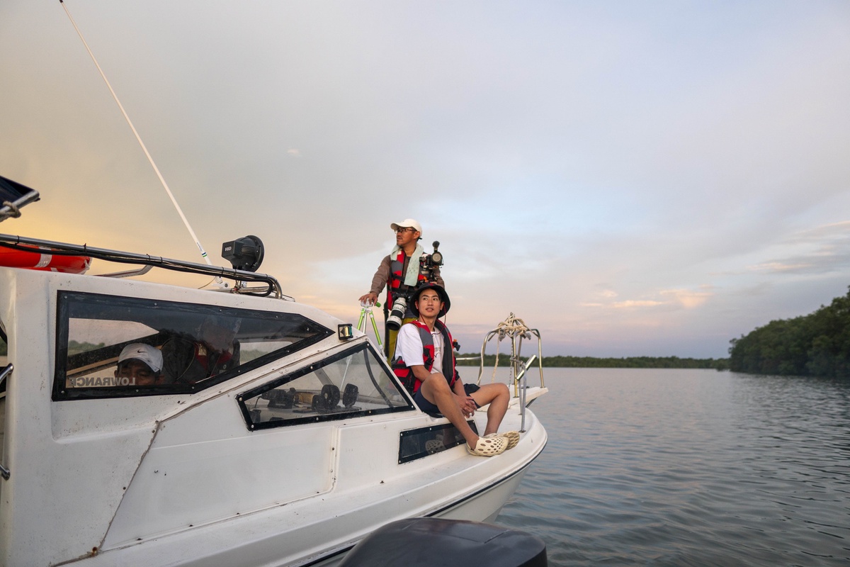 Kuching Dolphin & Wildlife River Cruise