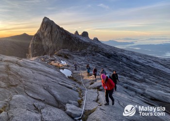 Wild Borneo