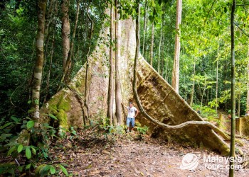 领略大马西马风情：10天9夜的吉隆坡，大汉山国家公园和停泊岛之旅