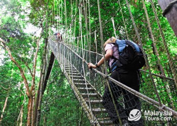 Pahang Jungles & Highlands