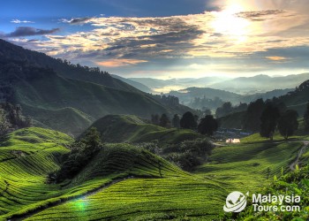 8 Best Eco-Experiences in Malaysia for Your 2026 Bucket List  - Top Places to go and Things to do