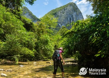 Top Outdoor Adventures in Malaysian Borneo: Climbing, Diving, and Wildlife Safaris